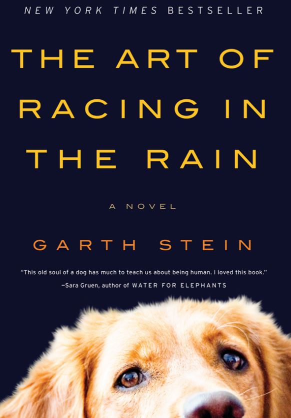 Book+Review%3A++The+Art+of+Racing+in+the+Rain